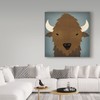 Trademark Fine Art Ryan Fowler 'Buffalo Ii' Canvas Art, 35x35 WAP06273-C3535GG